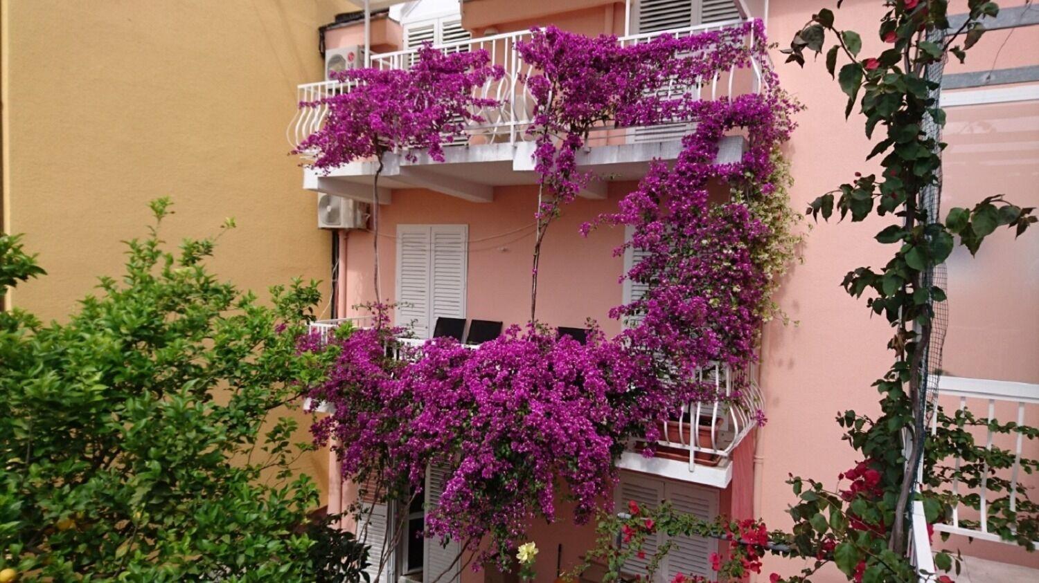 Apartments Ora Orebić Kültér fotó